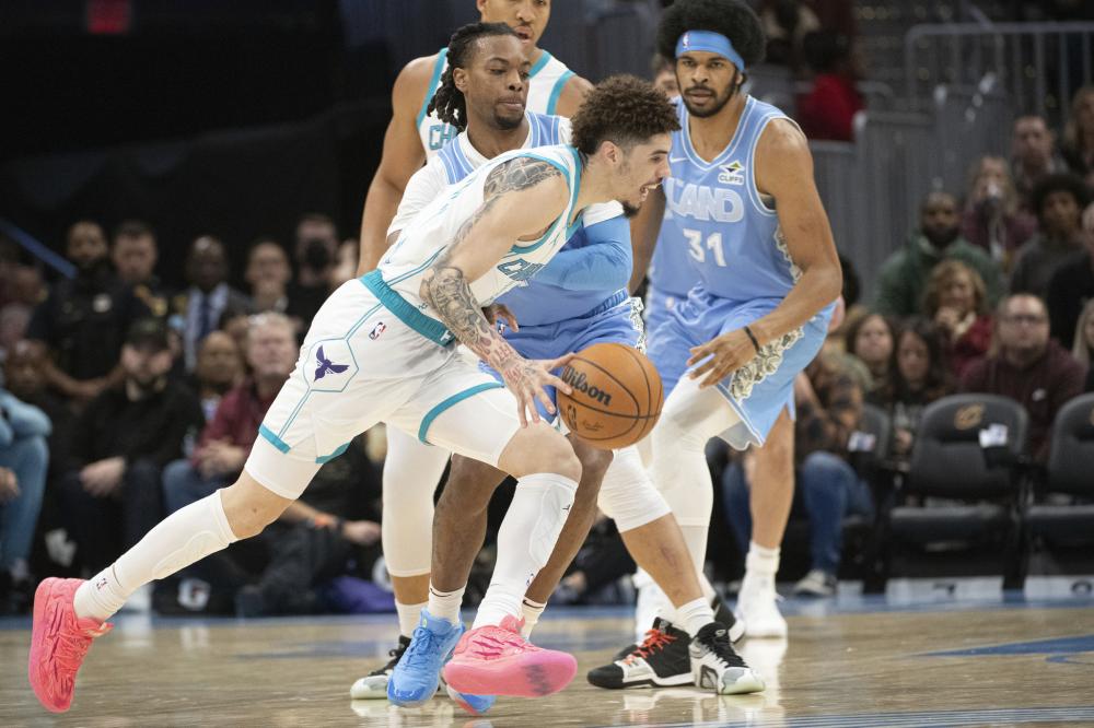 他们展现了 他们展现了